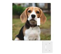 Decorator - Placa de pared de 2 bandas, cubiertas de interruptor de luz dúplex, cubiertas de toma de corriente de receptáculo dúplex, placas de pared para tomas eléctricas, cubierta de enchufe, placas