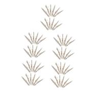 DECORNIJIA 5 Series Mezuzah Scrolls Judaica Doorpost Jewish Religious Ornament Hebrew Prayer Blessings Israel Home Decor Housewarming Gift for for for 12 Piezas X 5