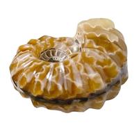 DECORNIJIA Adorno Artesanal de Piedra de Cristal Forma de Caracola Pequeña 4-5 Cm, Decoración Natural para Mesa y Hogar, Accesorio Decorativo para Interiores, Pieza Única de Fósil