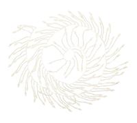 DECORNIJIA Cinta Decorativa de Perlas Borlas para Manualidades Adornos de Perlas para Prendas de Vestir Delicada Largo Ajustable para Faldas y Accesorios DIY