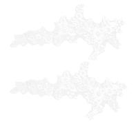 DECORNIJIA Parches Bordados de Encaje con Diseño Flores para Coser Vestidos de Boda y Prendas DIY Duraderos y Versátiles para Decoración Nupcial y Ropa Elegante