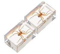 DECORNIJIA Pisapapeles de Resina Transparente Arañas Peludas 2 Piezas Adorno Decorativo Multifuncional para Escritorio y Hogar Colección de Insectos para Educación Científica