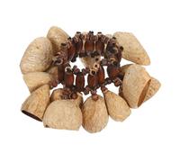 DECORNIJIA Pulsera Tribal Africana De Campanas De Nuez Naturales, Instrumento De Percusión Sonajero Ligero y Ajustable, Pulsera De Campanillas Artesanal Para Baile, Yoga y Festivales Culturales