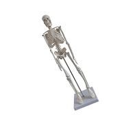 DECORNIJIA Soporte y Didáctico para Educación y Yoga Brazos Móviles de Limpiar para Enseñanza de Anatomía