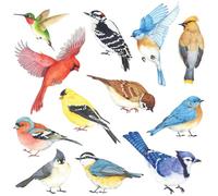 DECOWALL DS2-8042 Pequeñas aves (Pequeña) Vinilo Pegatinas Decorativas Adhesiva Pared Dormitorio Saln Guardera Habitaci Infantiles Nios Bebs