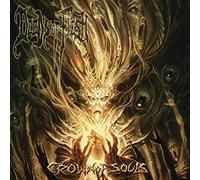 Deeds of Flesh - Crown Of Souls