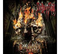 Deeds of flesh - Gradually melted