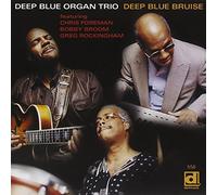 DEEP BLUE ORGAN TRIO - Deep Blue Bruise