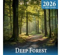 Deep Forest 2026 Calendar: dark, mysterious woodlands and untouched wilderness paths