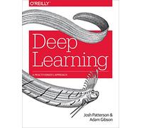 Deep Learning: A Practitioner's Approach