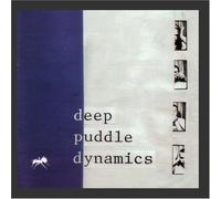 Deep Puddle Dynamics - Taste of Rain -12tr-