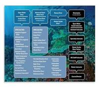 Deep Sea Diving Types and Tips Educational Canvas Print for Home Study Room and Dive Center Wall(Unframed,08x12inch(20x30cm))