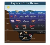 Deep sea zones poster vintage biology wall art