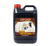 Deeper Undergound 5L