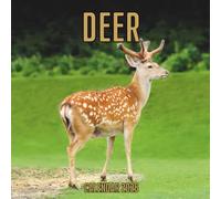 Deer Calendar 2026: 14-Month Organizer from Nov 2025 to Dec 2026 | Perfect for Home, Office, School & Family Scheduling, For Men , Women , Girls , Boys