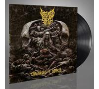 Defeated Sanity – Chronicles of Lunacy – Vinilo – Importación USA