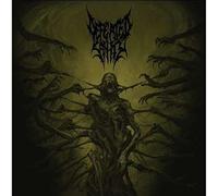 Defeated Sanity - Passages Into Deformity