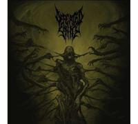 Defeated Sanity Passages Into Deformity (CD) (Importación USA)