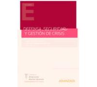 Defensa Seguridad Y Gestión De Crisis