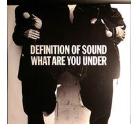 Definition Of Sound - WHAT ARE YOU UNDER 12 inch (12" Vinyl) UK CIRCA 1992