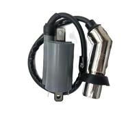 DEFIYAN Bobina de Encendido de Alta Resistencia para Linhai 260CC 300CC Manco Talon Roketa ATV Quad 260CC-300CC Piezas compatibles