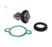 DEFIYAN Conjunto de termostato del de refrigeración para Motores Fuera de borda 122.0 °F 125 ℉ Compatible con 4 5 6 8 9,9 15 55 75 100 Modelos 19300-881-761 19351-ZV4-610