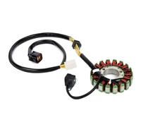 DEFIYAN Generador Estator Magneto 32101-29F00 Compatible con DR Z 400 SM DR Z 400 DRZ400E DRZ400S DR Z400 DRZ400SM