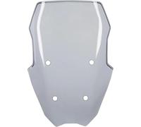 Deflector de Viento Parabrisas para BMW C400X 2018 2019 2020 2021 2022 2023(Light Smoke)