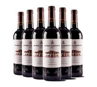 Dehesa de los Canónigos 2020 - Vino Tinto Crianza Ribera del Duero - Es Ideal Combinarlo con Guisos y Estofados - Pack 6 botellas 750ml