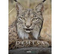 Dehesa El Bosque del Lince Iberico - Poster cm. 30 x 40