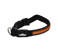 Dehner Collar de Perro con luz LED Flash Collar, Longitud 51 cm, Altura 2,5 cm, Tejido de Malla, Negro/Naranja