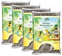 Dehner Natura Premium Comida para Aves Silvestres, Semillas de Girasol, alimento para Todo el año, Rico en proteínas, Alto en energía, alimento para pájaros Aves Silvestres, en