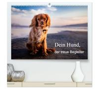 Dein Hund der treue Begleiter (hochwertiger Premium Wandkalender 2026 DIN A2 quer), Kunstdruck in Hochglanz: Dieser Kalender zeigt den treuen Freund der Menschen!