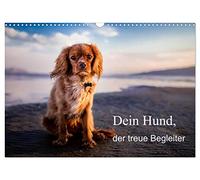 Dein Hund der treue Begleiter (Wandkalender 2026 DIN A3 quer), CALVENDO Monatskalender: Dieser Kalender zeigt den treuen Freund der Menschen!