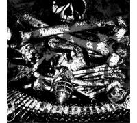 Deiphago/Ampütator Split (Vinyl) 12" Album