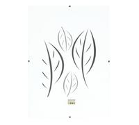 Deknudt Frames S200K9 40x50 Marco Transparente Vidrio