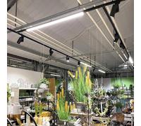 Deko-Light Lámpara LED para riel LINEAR PRO negra 930 60 cm trifásica DALI