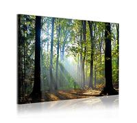 DekoArte 312 - Cuadros Modernos Impresión de Imagen Artística Digitalizada | Lienzo Decorativo Para Salón o Dormitorio | Estilo Paisaje Bosques Árboles con Rayos de Sol Naturaleza | 1 Pieza 120x80cm