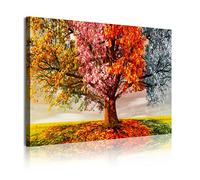 DekoArte 337 - Cuadros Modernos Impresión de Imagen Artística Digitalizada | Lienzo Decorativo Para Tu Salón o Dormitorio | Estilo Paisaje Árboles Cuatro Estaciones Del Año | 1 Piezas 120 x 80 cm