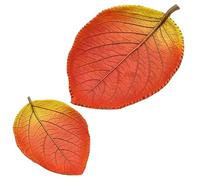 Dekohelden24 Hojas de otoño - Cuenco decorativo en forma de hoja como juego de 2 unidades, dimensiones L/B/H 25 x 13 x 7 y 16,5 x 12 x 2,5 cm
