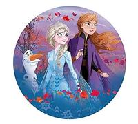 Dekora - Decoracion Tartas de Cumpleaños Infantiles en Disco de Oblea de Disney Frozen - 20 cm
