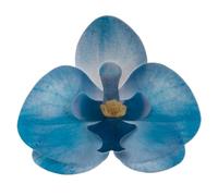 dekora-10 Orquideas Comestible Decoración de Tartas de Cumpleaños Caseras Fácil para Obtener un Pastel con Flores azul de 7,5-8,5 cm, Color (126151)