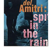 Del Amitri - Spit In The Rain
