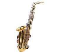 Delaman Juego de saxofón para principiantes, instrumento de viento de madera de latón para músico profesional y principiante, incluye boquilla y funda, ideal para estudiantes de música y entusiastas