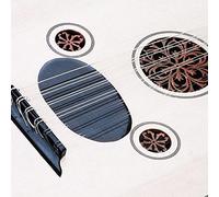 Delaman Oud Strings - Juego de cuerdas Oud de nailon transparente, de aleación de cobre chapadas en plata, 10 cuerdas para Oud11, Oud12, Oud13, instrumentos acústicos