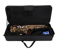 Delaman Saxofón alto de latón, electroforesis de latón plano, tubo curvo tratado con oro, instrumento de saxofón profional, acabado brillante, ideal para músicos