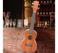 Delaman Ukelele portátil para ukelele, tabla de acordes giratorios de 360°, ukelele de caoba de 23 pulgadas con bolsa, cejilla, cuerda, paño de limpieza, instrumento musical apto para principiantes