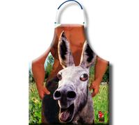 Delantales Divertidos | Humor, picardía y estilo para tus fiestas