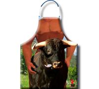 Delantales Divertidos | Humor, picardía y estilo para tus fiestas