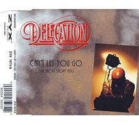 Delegation - Can't Let You Go Remix